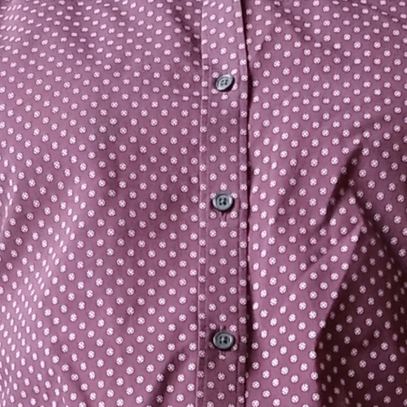 Express button down - Picture 2 of 5